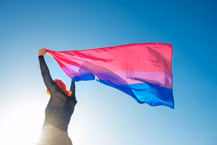 Bisexual rainbow flag