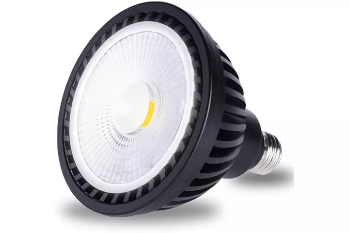 Wiyifada LED Pool Light Bulb