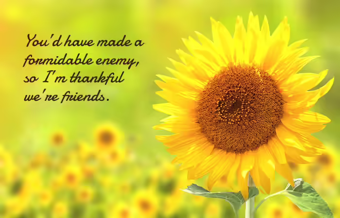 You’d have made a formidable enemy, so I’m thankful we’re friends.