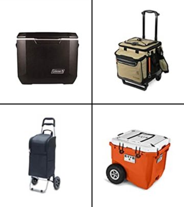 14 Best Wheeled Coolers For Refreshments In 2024: Reviews_image