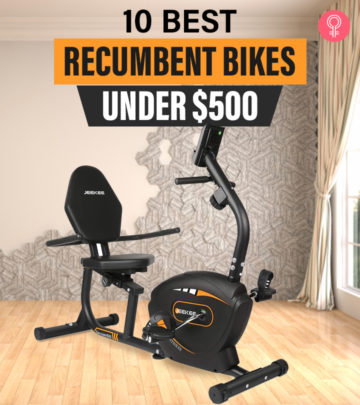 10 Best Recumbent Bikes Under $500, Recommended By An Expert (2024)