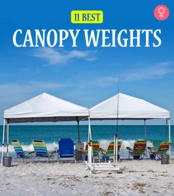 11 Best Canopy Weights_image