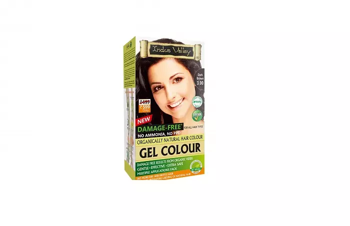 Best Damage Reversing Formula Indus Valley Damage-Free Gel Color