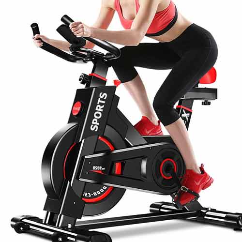 Dripex Indoor Stationary Bike