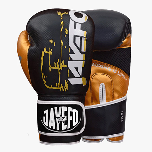 Jayefo R-6 Boxing Gloves