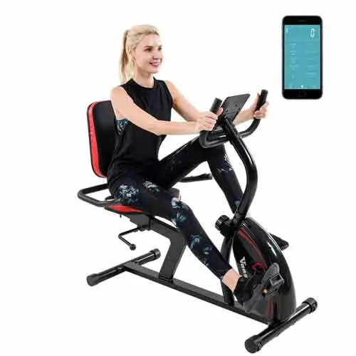 Vanswe Recumbent Exercise Bike