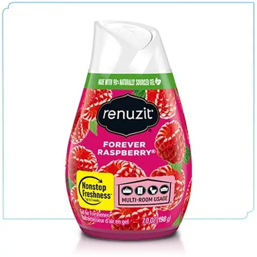 Renuzit Solid Gel Air Freshener