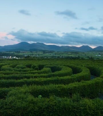 The Best Time to Go to Ireland: A Seasonal Guide for Travelers