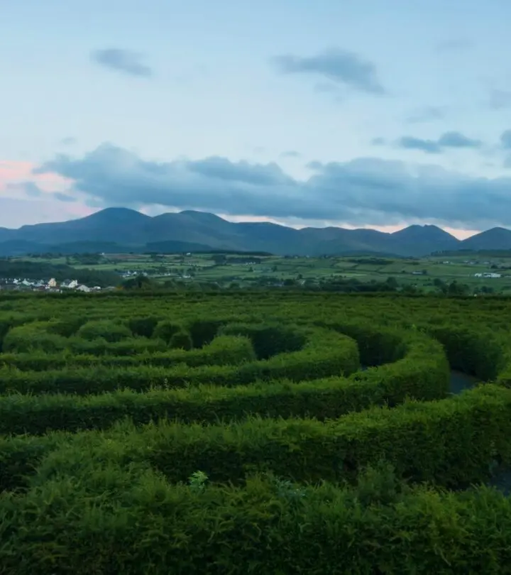 The Best Time to Go to Ireland: A Seasonal Guide for Travelers Tailor each journey by syncing trip dates with weather, crowds, and festival vibes.