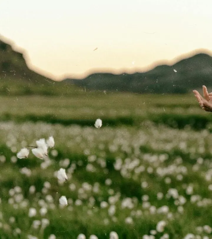 From sunlit summers to snowy winters, every season uncovers a fresh landscape adventure.
