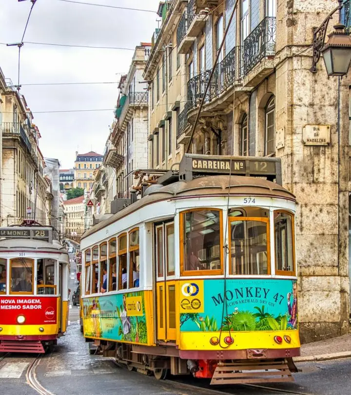 Best Time to Visit Portugal: Seasons, Festivals, and Travel Tips Every chapter offers fresh landscapes, from spring blooms to winter’s cozy horizons.