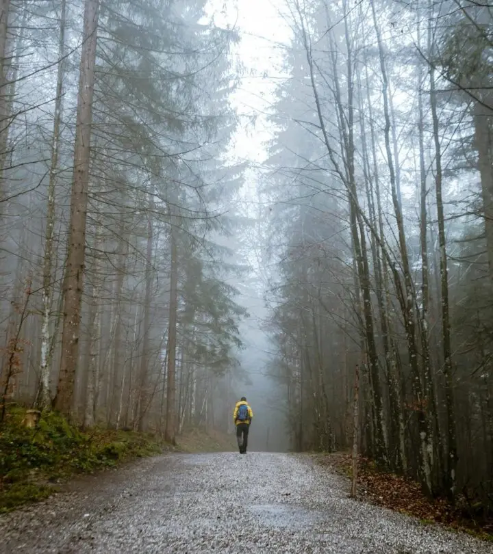 A Comprehensive Guide to Dopamine Detox: Resetting Your Mind for Balance Reset your brain’s reward pathways and find satisfaction in everyday moments.