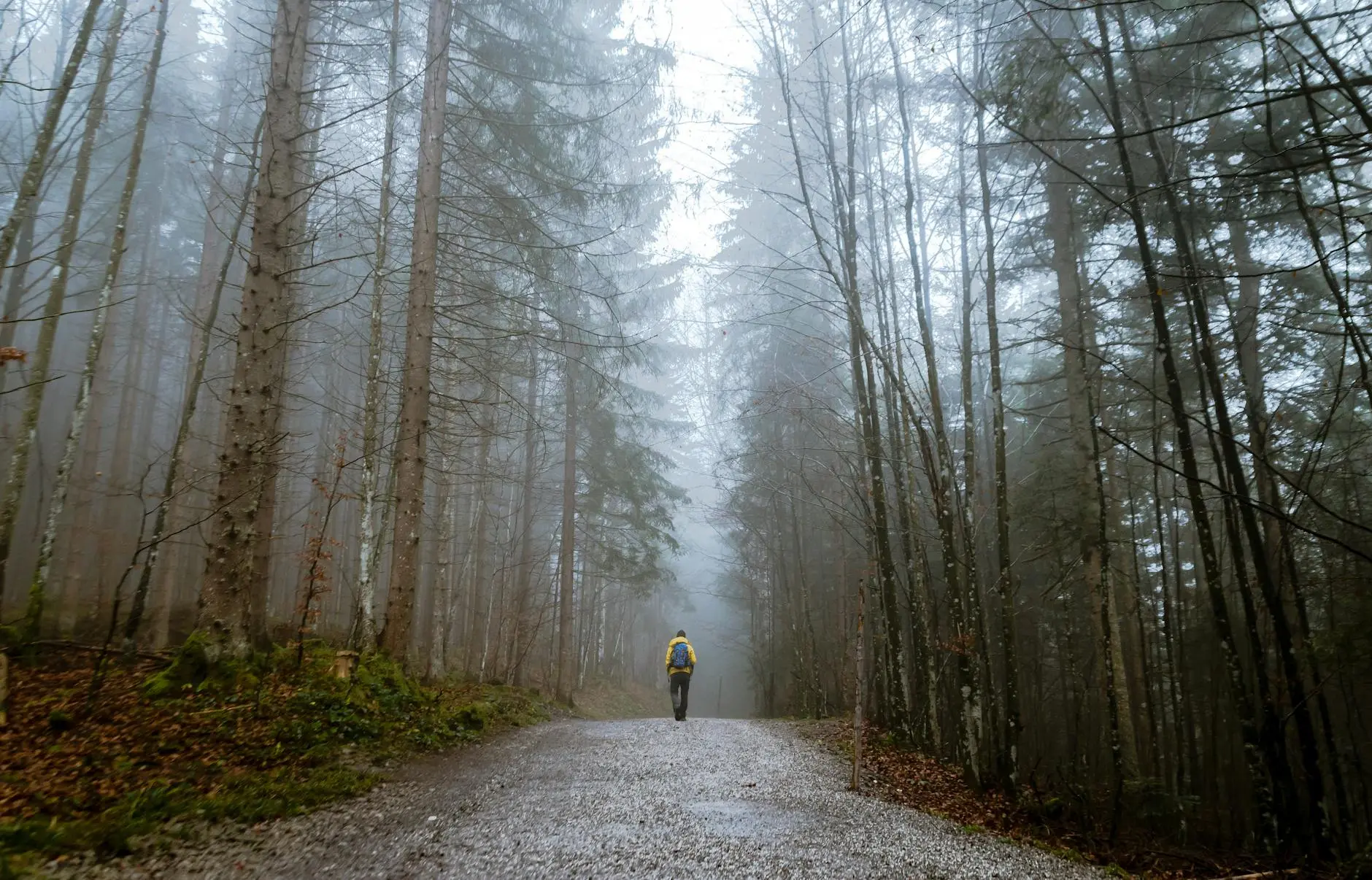 Reset your brain’s reward pathways and find satisfaction in everyday moments.