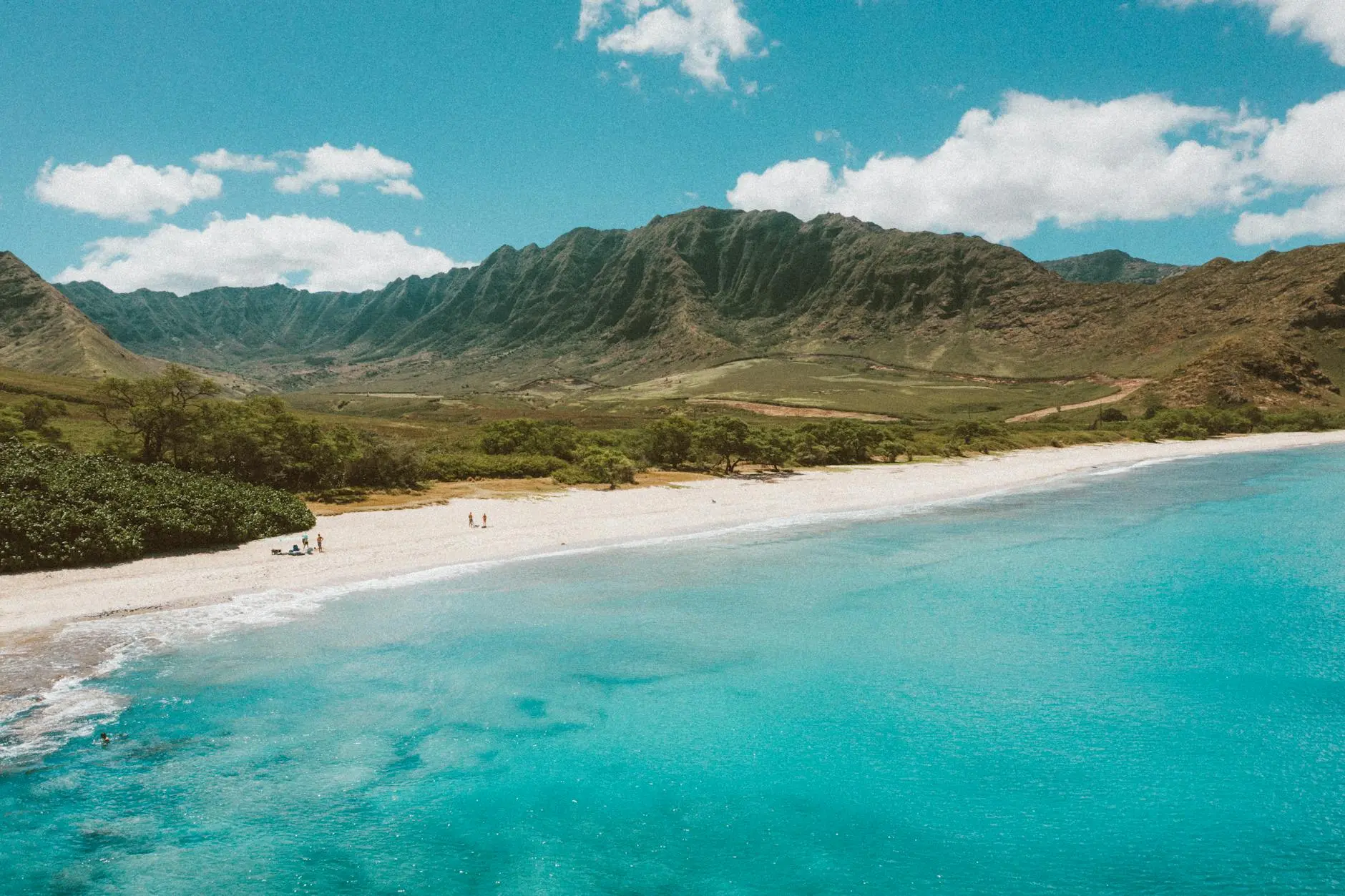 Find island-inspired lines that bring aloha charm and adventure to any moment.