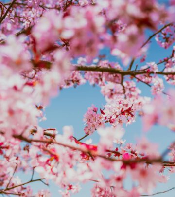 100+ March Instagram Captions and Quotes to Celebrate Spring