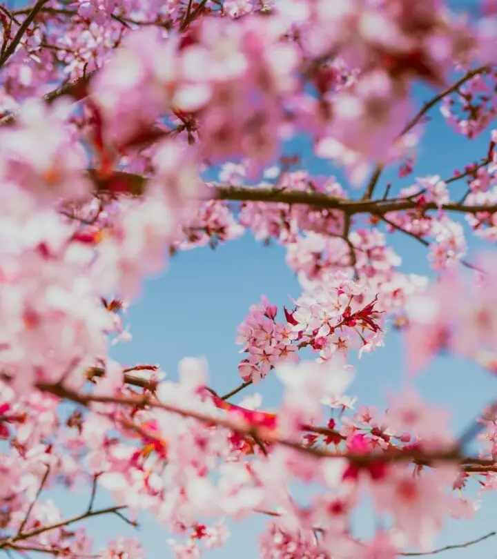 Give each photo a refreshing twist with playful puns and spring-ready flair.