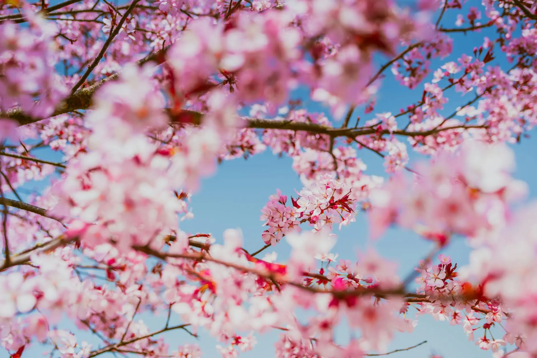 Give each photo a refreshing twist with playful puns and spring-ready flair.