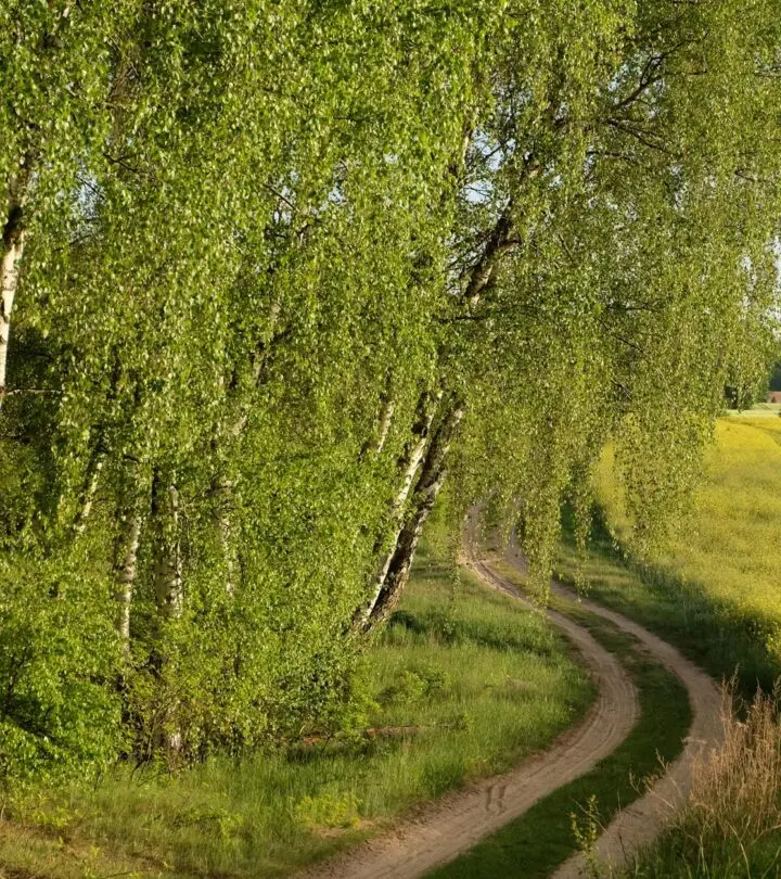 Sprinkle your feed with witty, heartfelt, and inspiring lines that match every spring vibe.