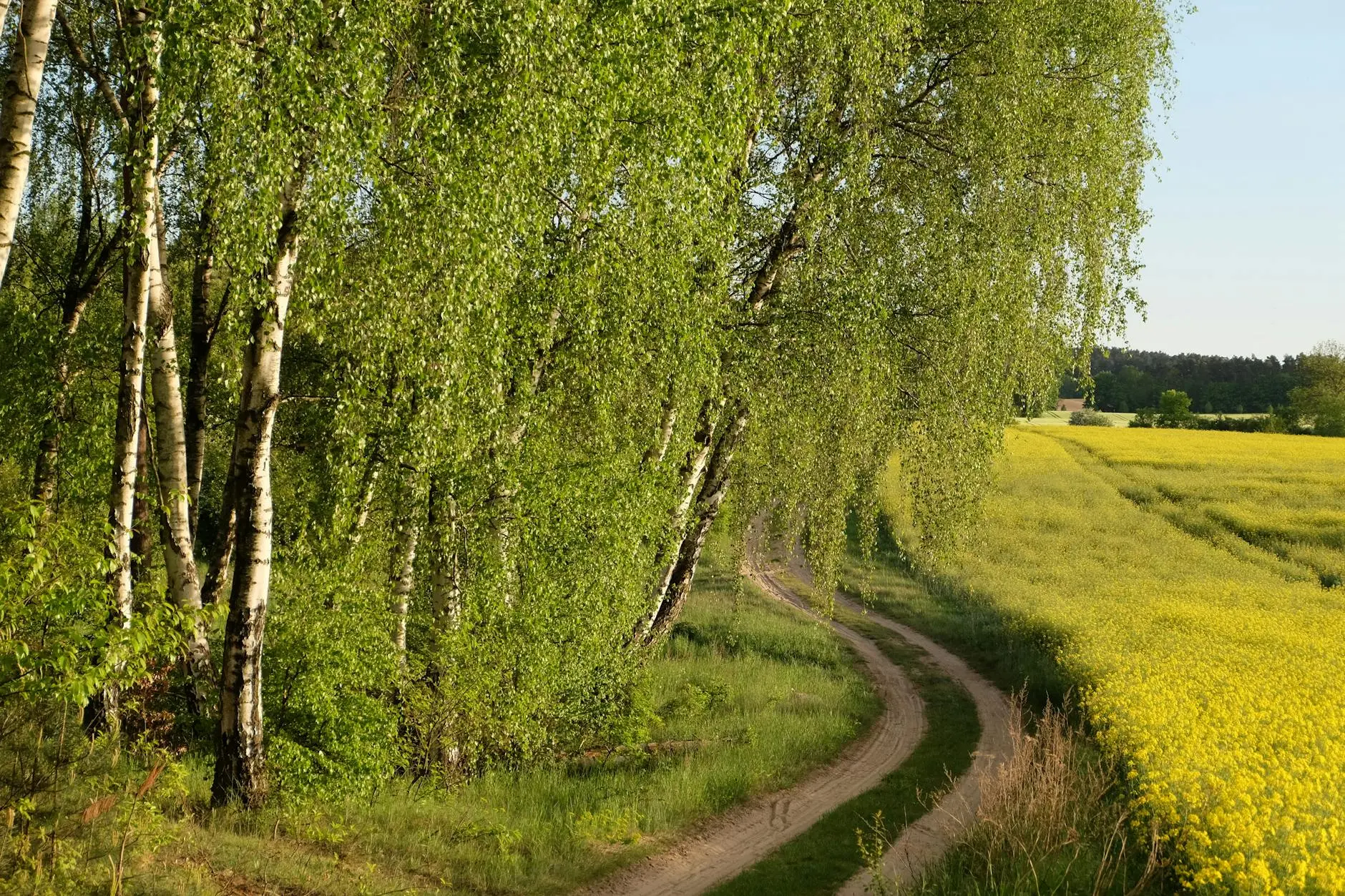 Sprinkle your feed with witty, heartfelt, and inspiring lines that match every spring vibe.