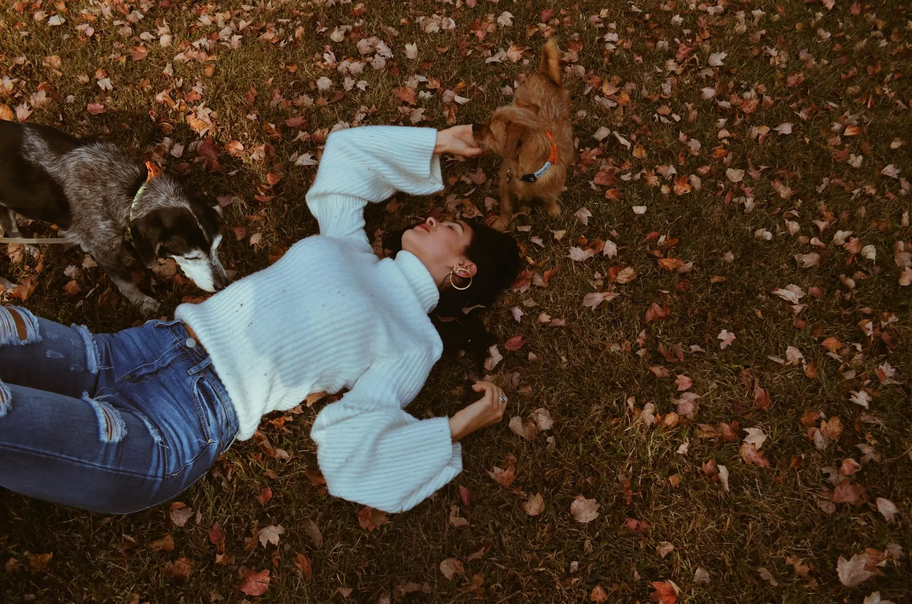 A curated selection of warm, witty, and heartfelt lines to match every autumn moment.