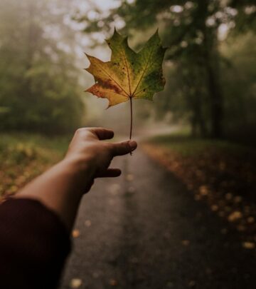 94 September Captions and Quotes for Sharing Your Perfect Fall Photo Dump