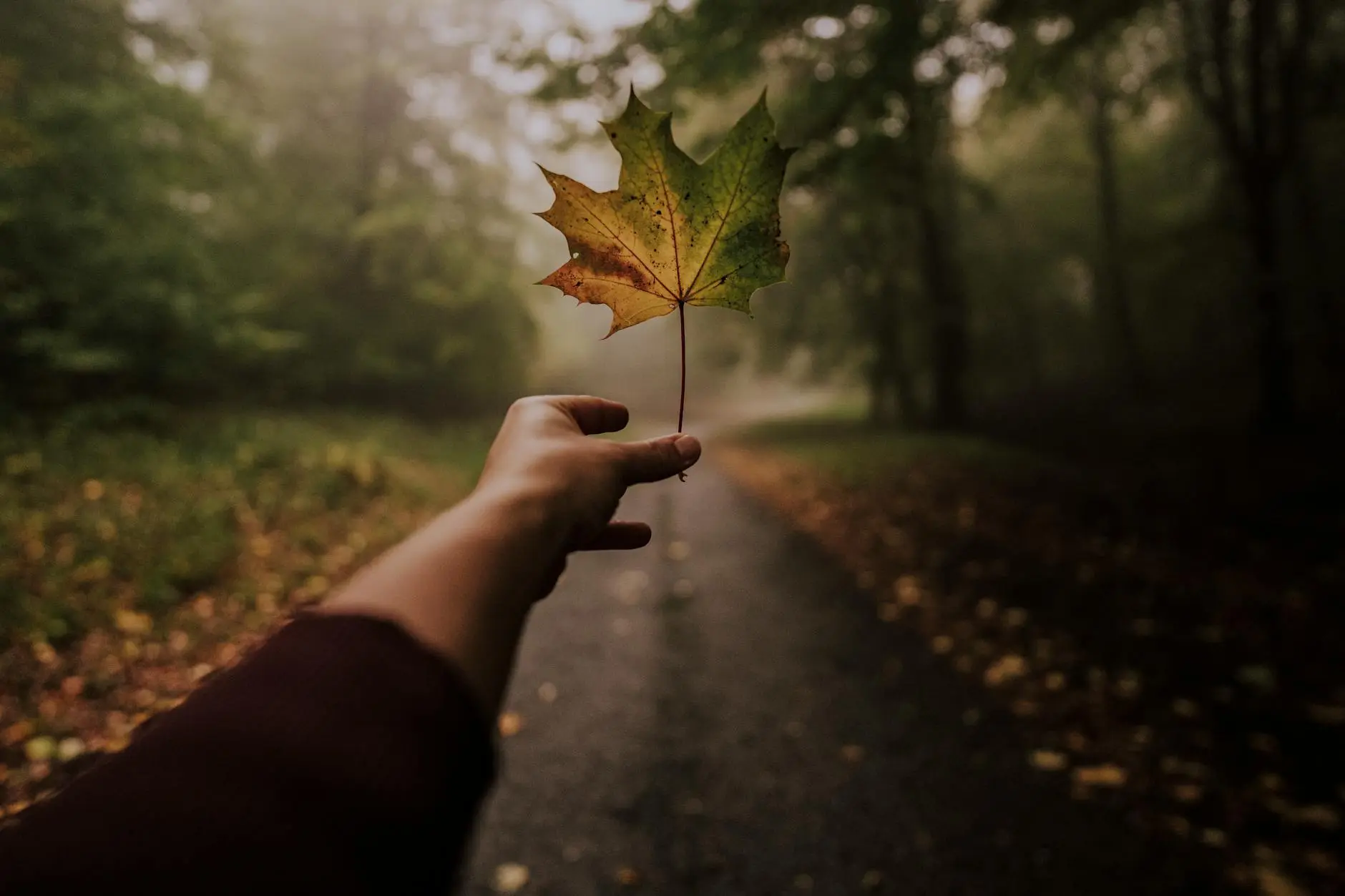 Creative autumn captions to highlight every golden moment in your September snapshots.