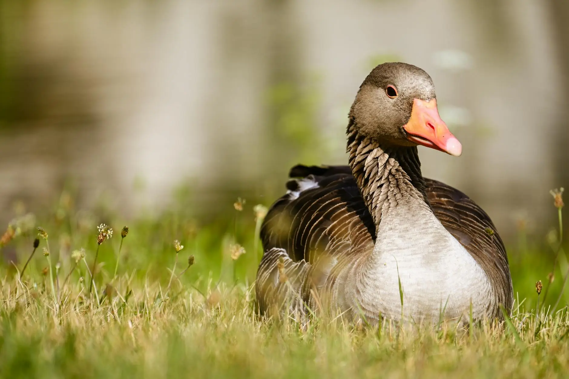Shifting the conversation fosters empathy and encourages healthier mental well-being.