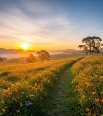 Boost your mood and fuel motivation with uplifting sayings to brighten each day!
