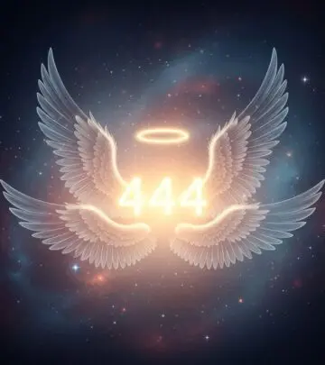 444 Angel Number Meaning: Unlocking Messages of Hope, Guidance, and Stability Discover angelic messages that bring clarity and support for your spiritual growth.