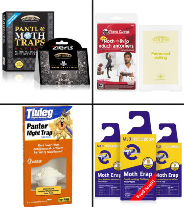 Best Moth Traps: 11 Non-Toxic Solutions For A Pest-Free Home