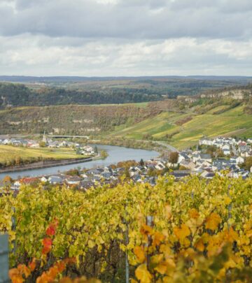 Exploring Portugal’s Douro Valley: Land of Wine, Heritage, and Scenic Wonder