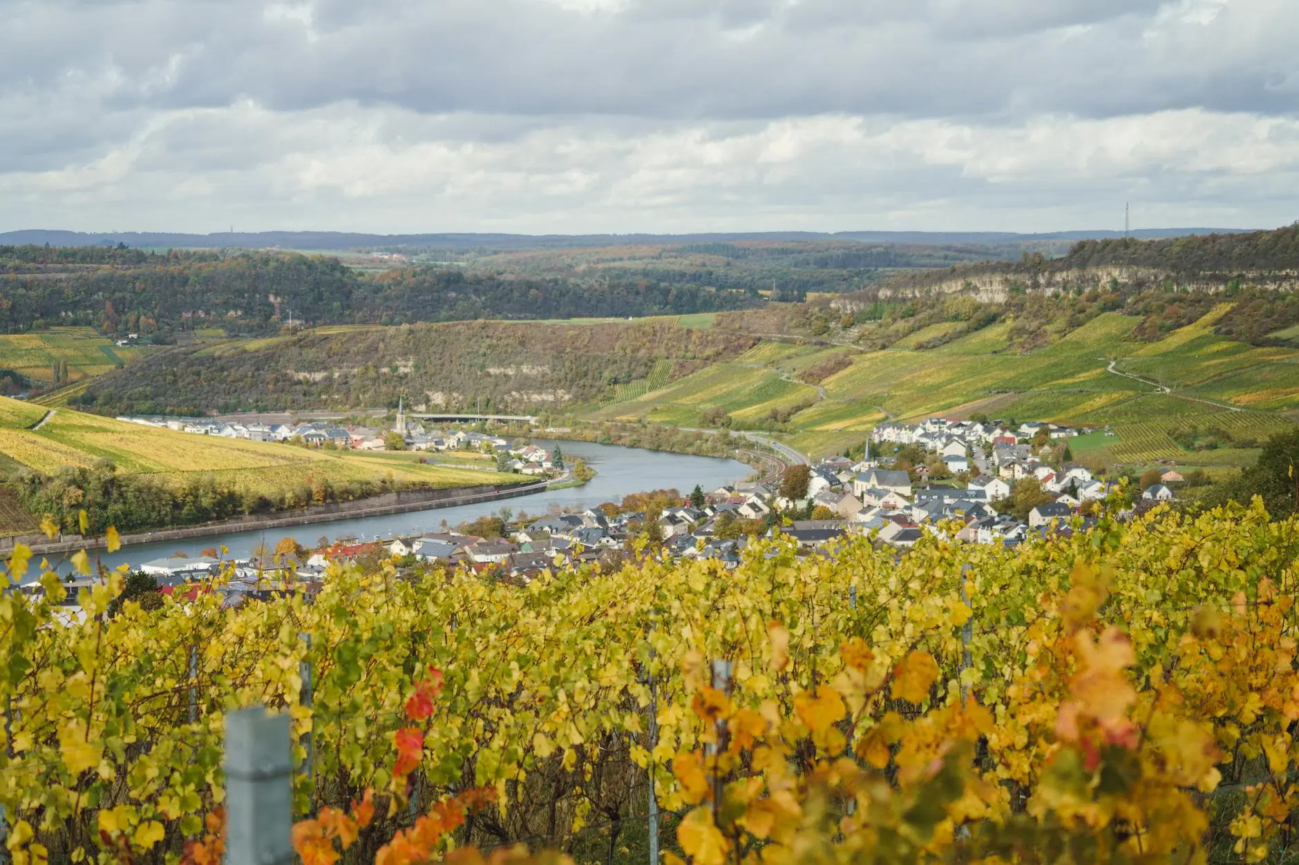 Sunset-soaked terraces and centuries-old quintas unveil the region’s rich wine heritage.