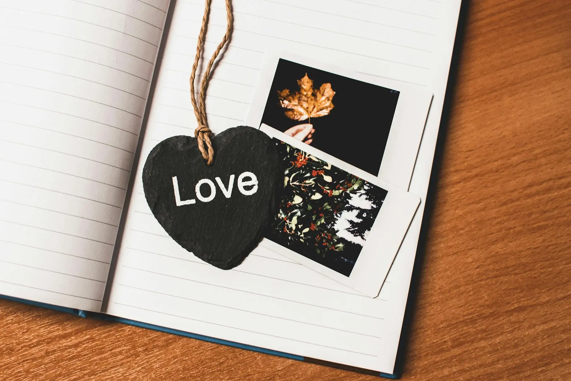 Affection rewires your brain chemistry and nurtures health, resilience, and deep connections.