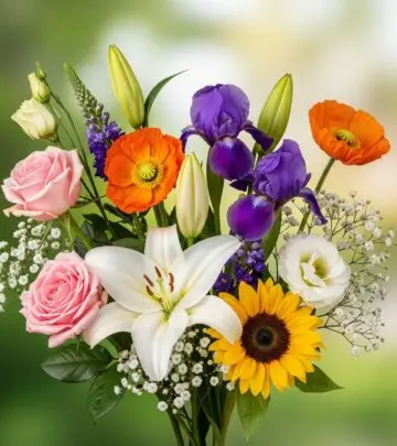 From classic blooms to rare blossoms, each name carries its own story and charm.
