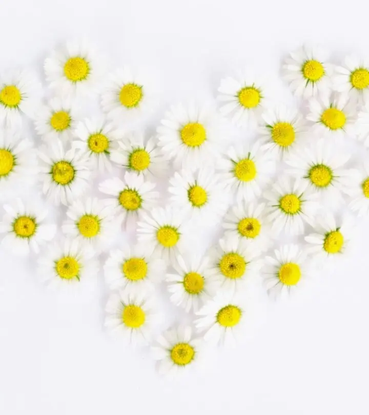 Heartfelt verses capturing tender emotions, igniting warmth and deep connections.