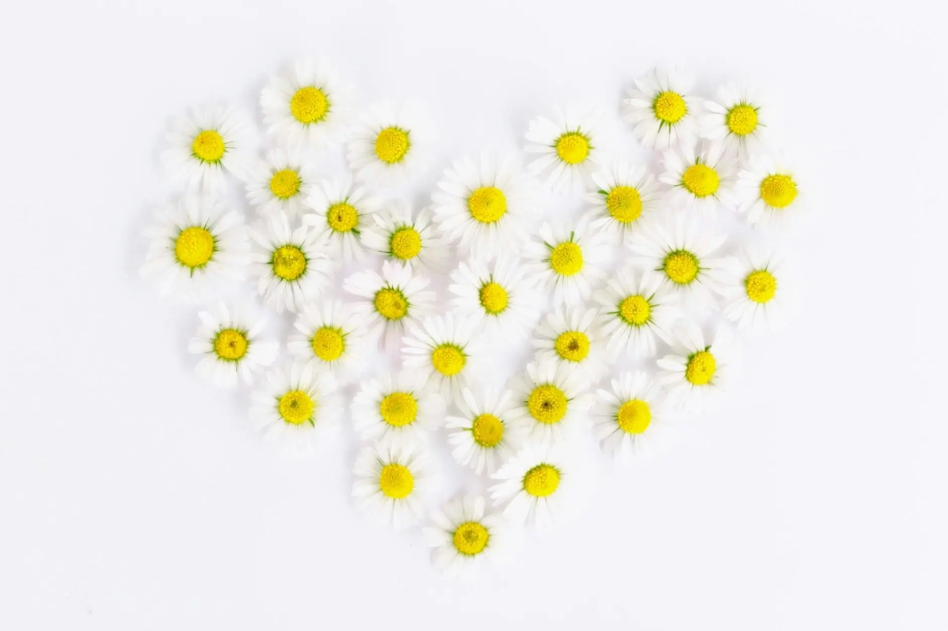 Heartfelt verses capturing tender emotions, igniting warmth and deep connections.