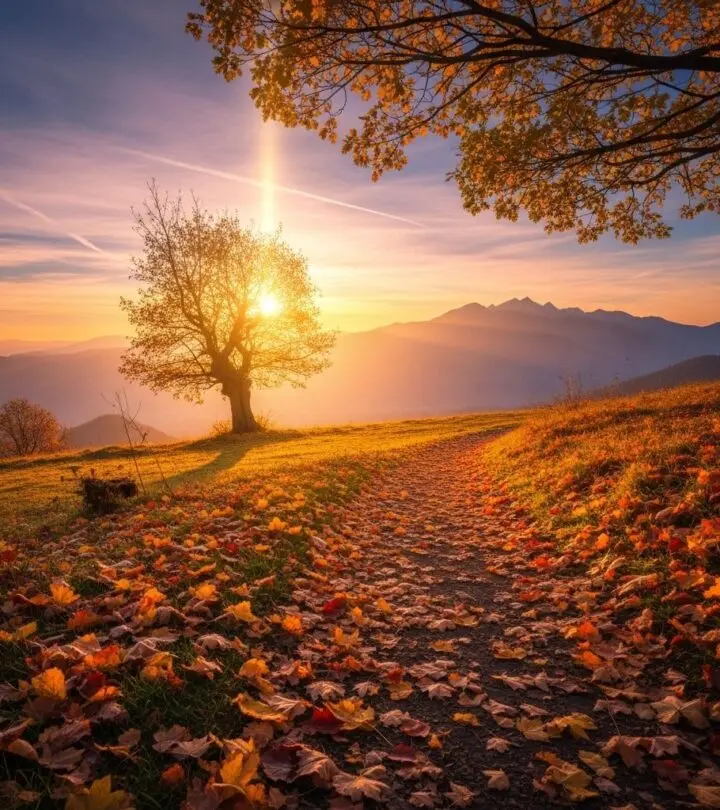 200 Inspirational Quotes to Lift Your Spirit and Motivate Your Life Discover profound wisdom from visionaries past to fuel courage, hope, and resilience.