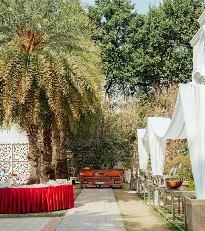 Imagine exchanging vows beneath vineyard vines, floral blooms, or lakeside sunsets.