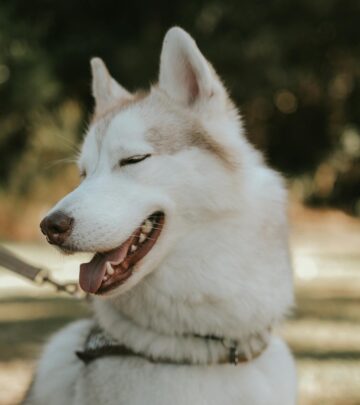 220 Pet Names for Lovers: Creative & Romantic Nicknames for Couples