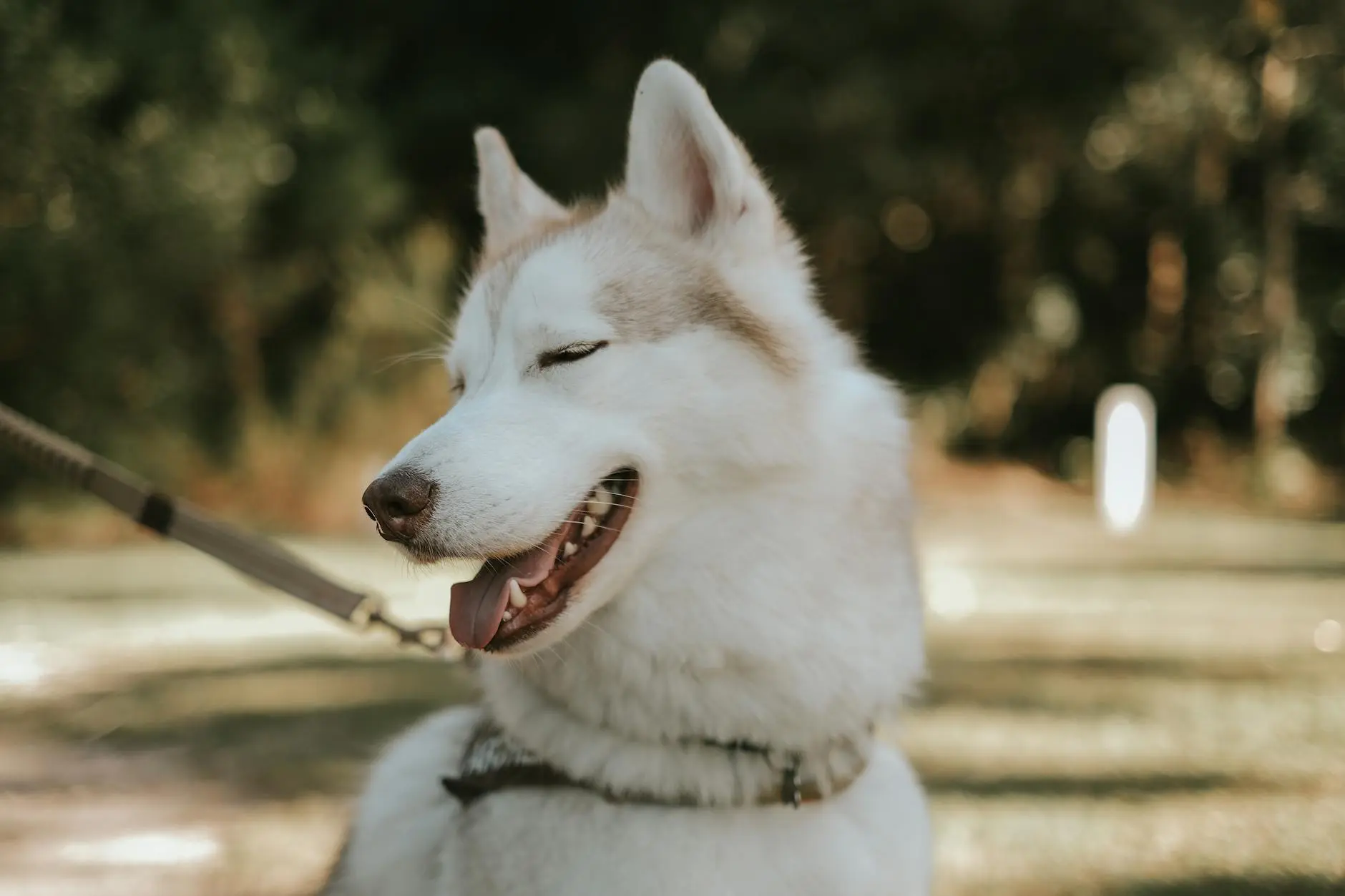 Find endearing expressions that capture your partner’s unique traits and shared moments.