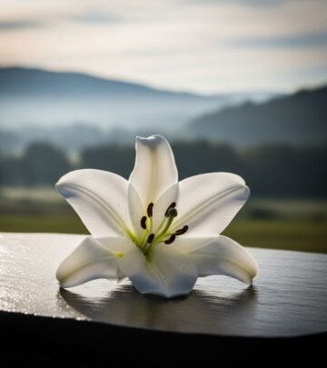 75 Heartfelt Rest in Peace Quotes and Messages for Mourning and Comfort