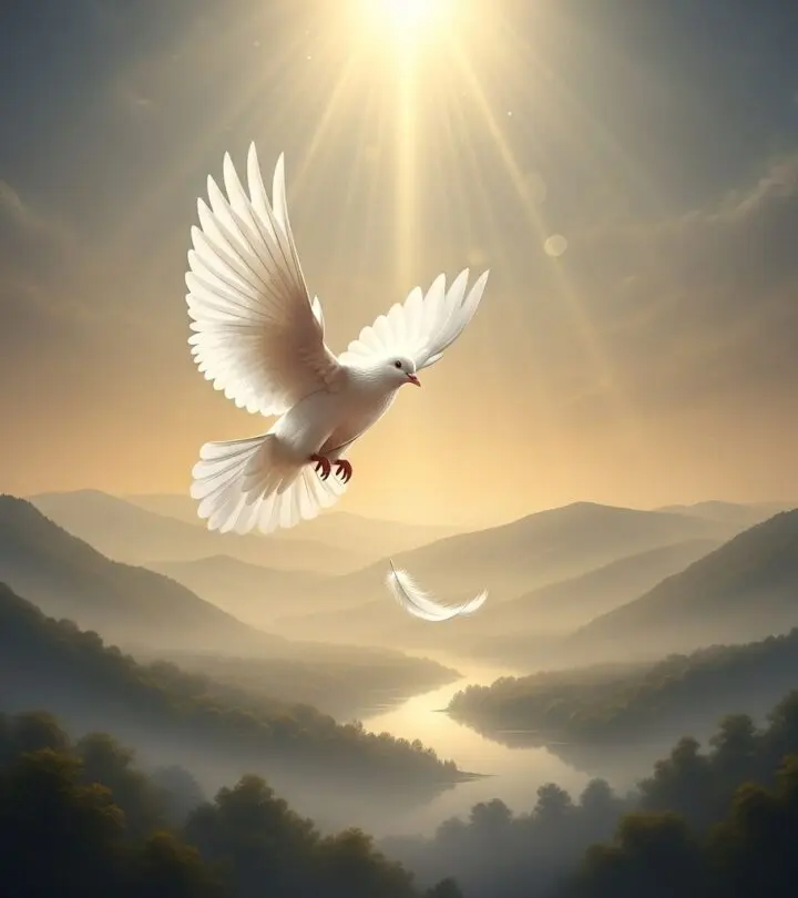 75 Comforting Rest in Peace Quotes and Messages to Remember Loved Ones Heartfelt words that honor a legacy and offer gentle solace during difficult times.