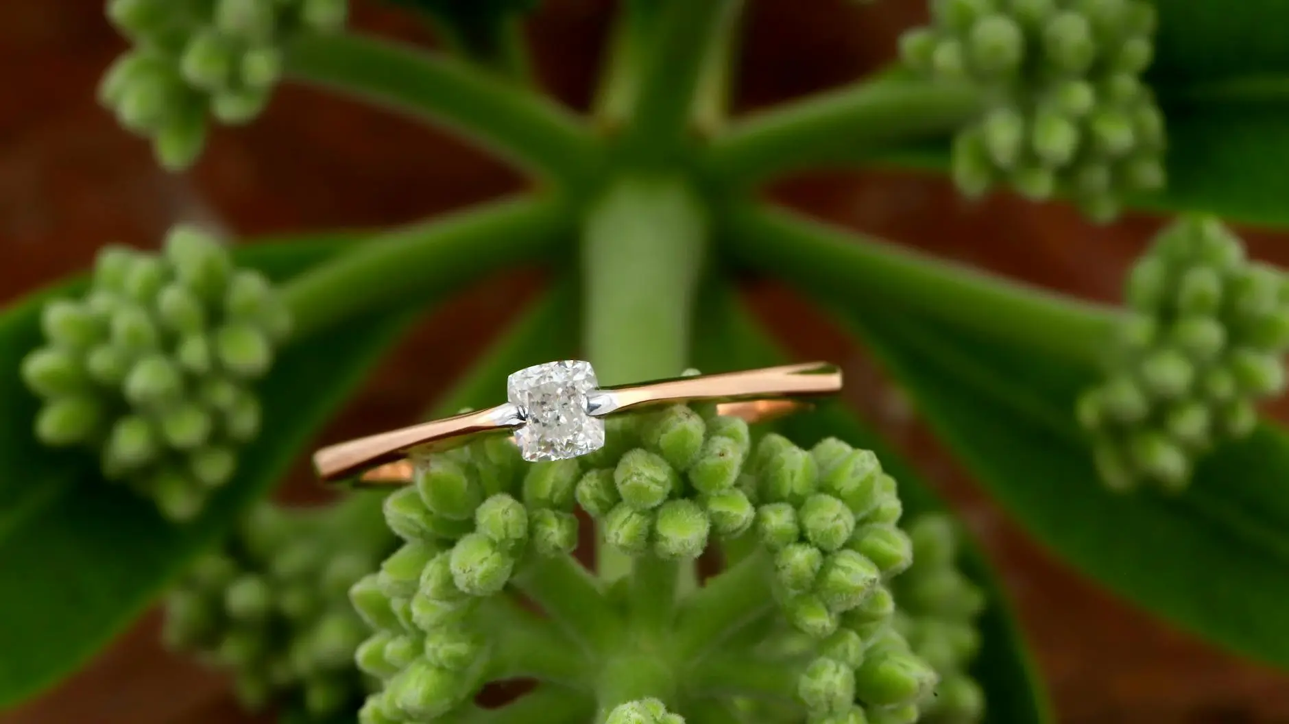 Discover creative ways to celebrate your love story with moments that truly resonate.