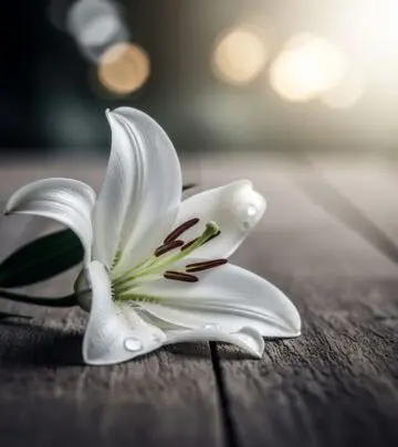 Discover heartfelt phrases that honor memories and bring comfort to grieving loved ones.