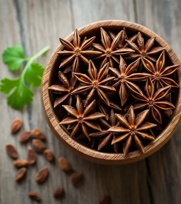 Discover the wide-ranging health benefits, traditional uses, and scientific insights on anise seeds—the aromatic spice with medicinal value.