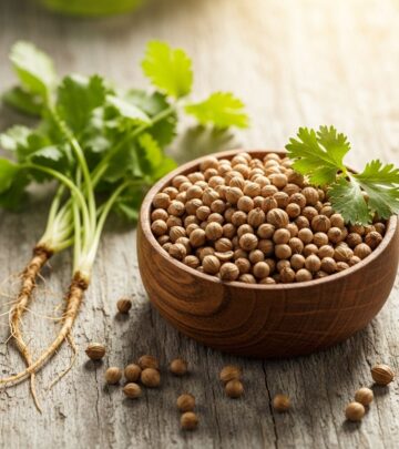15 Impressive Benefits of Coriander Seeds for Health and Wellness