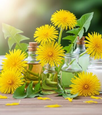 Amazing Benefits of Dandelion for Skin, Hair, and Health