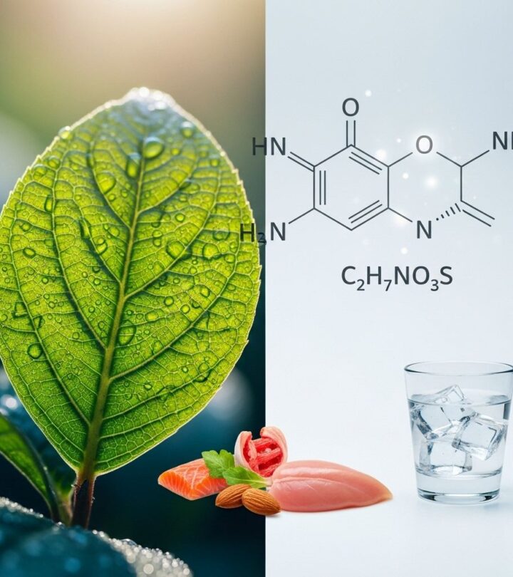 12 Amazing Benefits Of Taurine: Health, Sources, Risks, And More Discover taurine's wide-ranging benefits for heart, brain, metabolism, and overall wellness, plus expert advice on supplementation and safety.