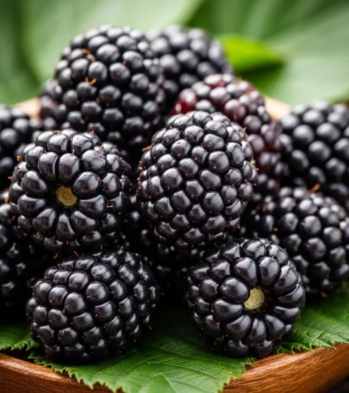 13 Remarkable Health Benefits Of Blackberries You Should Know Discover the incredible nutritional, medicinal, and wellness advantages of adding blackberries to your daily diet for a healthier lifestyle.