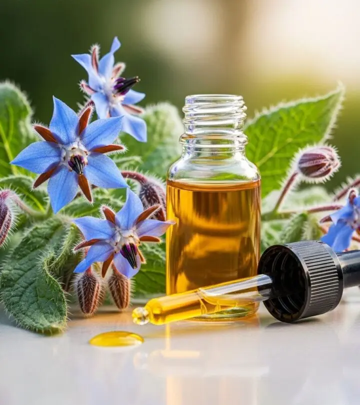 Borage Benefits: Transforming Skin, Hair, and Health Naturally Uncover the powerful impact of borage seed oil for skin, hair, and holistic health with science-backed benefits and easy tips.